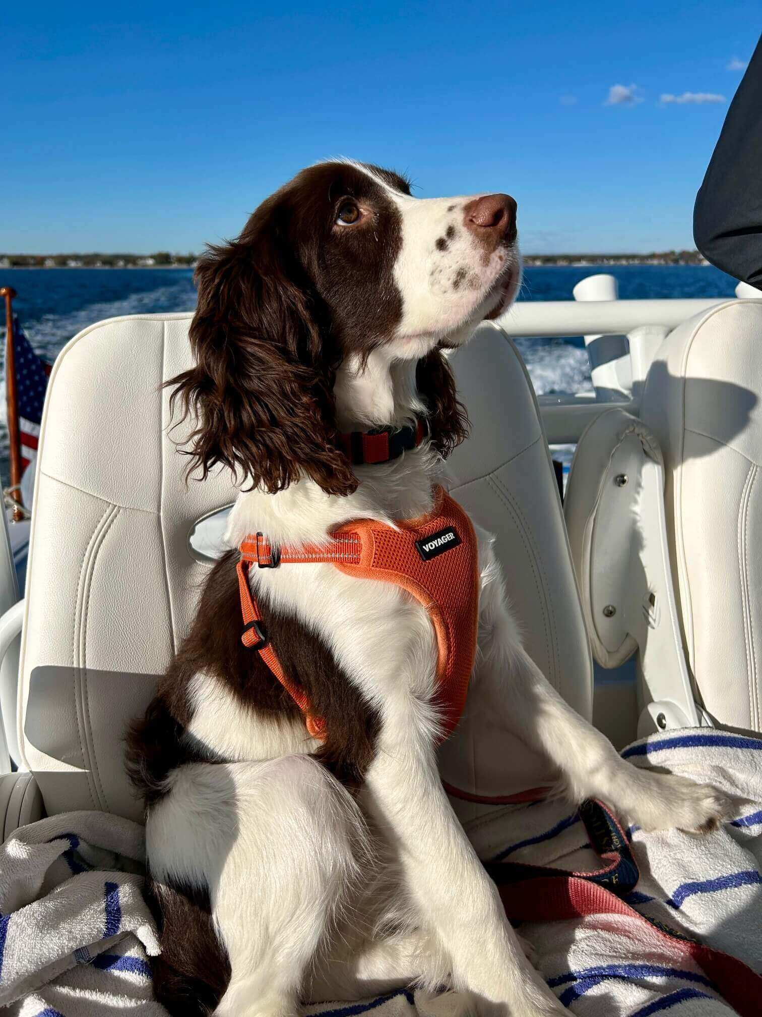 Spencer looking up sitting on the captains chair