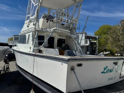 1988-black-watch-30-flybridge-1