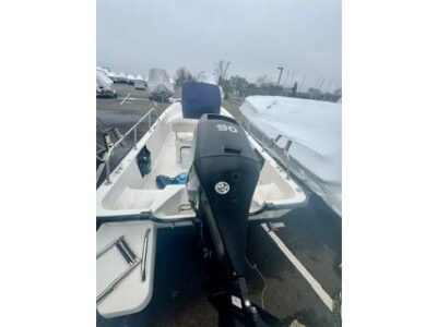 2014-boston-whaler-17-montauk-7-1