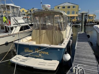 boat-10197010-2