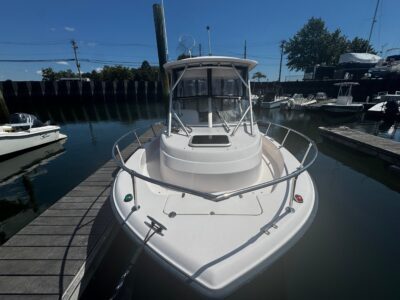 boat-10293439-2
