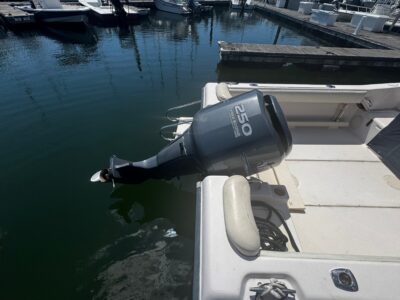 boat-10293439-4